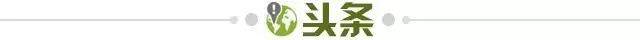 美式橄榄球投注-【早报】U19击败韩国打头阵！今夜国足战韩国定生死！